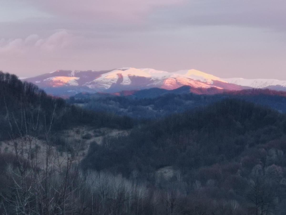 Cabanuta Fara Fite Villa Provita de Jos Luaran gambar