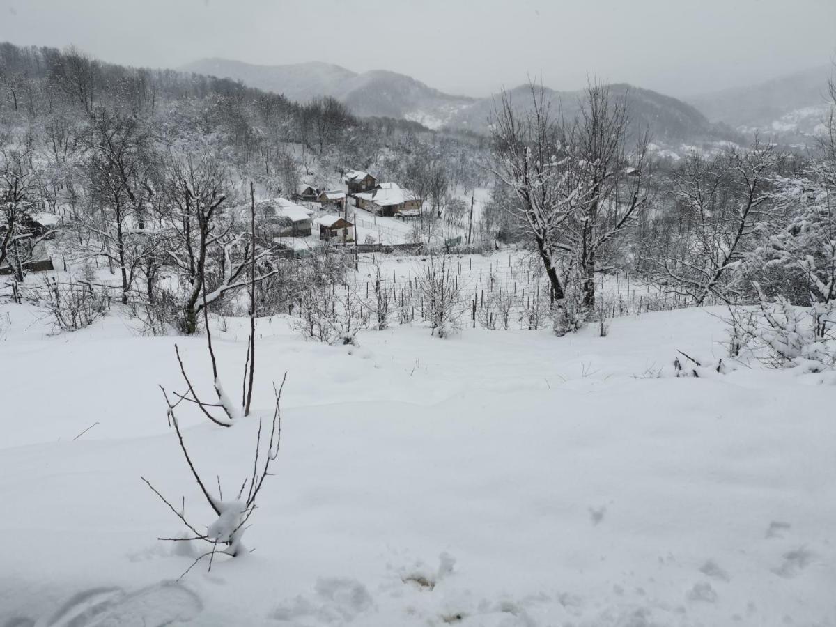 Cabanuta Fara Fite Villa Provita de Jos Luaran gambar