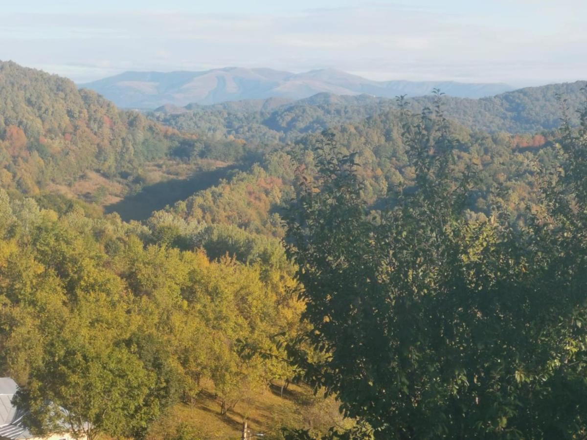 Cabanuta Fara Fite Villa Provita de Jos Luaran gambar