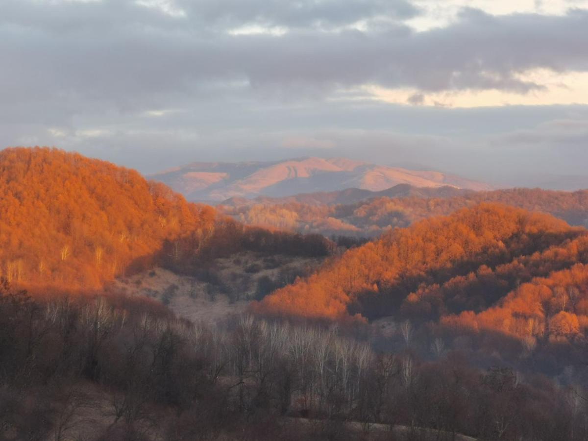 Cabanuta Fara Fite Villa Provita de Jos Luaran gambar