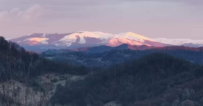 Cabanuta Fara Fite Villa Provita de Jos Luaran gambar